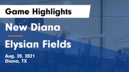 New Diana  vs Elysian Fields  Game Highlights - Aug. 20, 2021