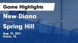 New Diana  vs Spring Hill  Game Highlights - Aug. 24, 2021