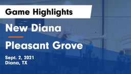 New Diana  vs Pleasant Grove  Game Highlights - Sept. 2, 2021