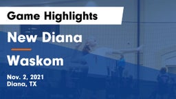 New Diana  vs Waskom  Game Highlights - Nov. 2, 2021