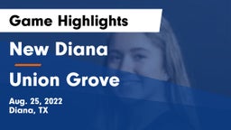 New Diana  vs Union Grove  Game Highlights - Aug. 25, 2022
