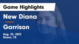 New Diana  vs Garrison  Game Highlights - Aug. 25, 2022