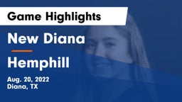 New Diana  vs Hemphill  Game Highlights - Aug. 20, 2022