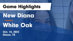 New Diana  vs White Oak  Game Highlights - Oct. 14, 2022