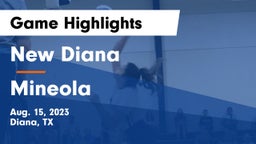 New Diana  vs Mineola Game Highlights - Aug. 15, 2023