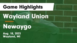 Wayland Union  vs Newaygo  Game Highlights - Aug. 18, 2023