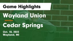 Wayland Union  vs Cedar Springs  Game Highlights - Oct. 10, 2023