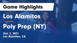 Los Alamitos  vs Poly Prep (NY) Game Highlights - Oct. 2, 2021