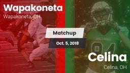 Matchup: Wapakoneta High vs. Celina  2018