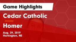 Cedar Catholic  vs Homer  Game Highlights - Aug. 29, 2019