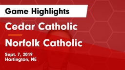 Cedar Catholic  vs Norfolk Catholic  Game Highlights - Sept. 7, 2019