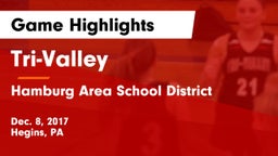 Tri-Valley  vs Hamburg Area School District Game Highlights - Dec. 8, 2017
