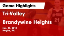 Tri-Valley  vs Brandywine Heights Game Highlights - Jan. 13, 2018