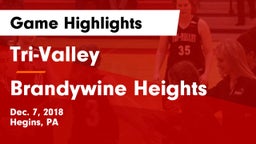 Tri-Valley  vs Brandywine Heights Game Highlights - Dec. 7, 2018