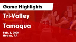 Tri-Valley  vs Tamaqua  Game Highlights - Feb. 8, 2020