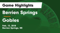 Berrien Springs  vs Gobles Game Highlights - Feb. 13, 2018