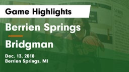 Berrien Springs  vs Bridgman Game Highlights - Dec. 13, 2018