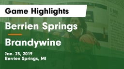 Berrien Springs  vs Brandywine  Game Highlights - Jan. 25, 2019