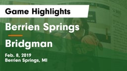 Berrien Springs  vs Bridgman Game Highlights - Feb. 8, 2019