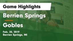 Berrien Springs  vs Gobles Game Highlights - Feb. 20, 2019