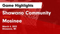 Shawano Community  vs Mosinee  Game Highlights - March 4, 2023