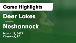 Deer Lakes  vs Neshannock  Game Highlights - March 18, 2023