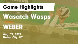 Wasatch Wasps vs WEBER  Game Highlights - Aug. 24, 2023