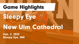 Sleepy Eye  vs New Ulm Cathedral  Game Highlights - Feb. 2, 2023