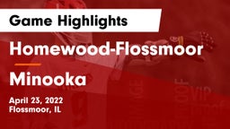 Homewood-Flossmoor  vs Minooka  Game Highlights - April 23, 2022