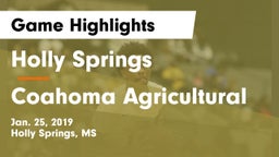 Holly Springs  vs Coahoma Agricultural Game Highlights - Jan. 25, 2019