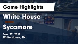 White House  vs Sycamore  Game Highlights - Jan. 29, 2019
