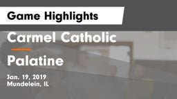 Carmel Catholic  vs Palatine  Game Highlights - Jan. 19, 2019