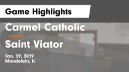 Carmel Catholic  vs Saint Viator  Game Highlights - Jan. 29, 2019