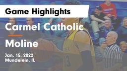 Carmel Catholic  vs Moline  Game Highlights - Jan. 15, 2022