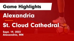 Alexandria  vs St. Cloud Cathedral  Game Highlights - Sept. 19, 2022