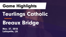 Teurlings Catholic  vs Breaux Bridge  Game Highlights - Nov. 27, 2018