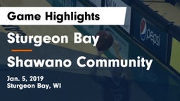 Sturgeon Bay  vs Shawano Community  Game Highlights - Jan. 5, 2019