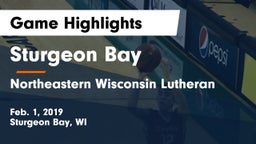 Sturgeon Bay  vs Northeastern Wisconsin Lutheran  Game Highlights - Feb. 1, 2019