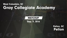 Matchup: Gray Collegiate vs. Pelion  2016