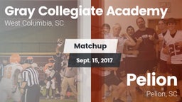 Matchup: Gray Collegiate vs. Pelion  2017