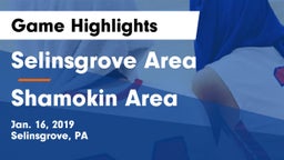 Selinsgrove Area  vs Shamokin Area  Game Highlights - Jan. 16, 2019