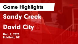 Sandy Creek  vs David City  Game Highlights - Dec. 2, 2023