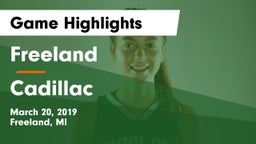 Freeland  vs Cadillac Game Highlights - March 20, 2019