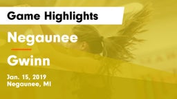 Negaunee  vs Gwinn  Game Highlights - Jan. 15, 2019