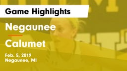 Negaunee  vs Calumet  Game Highlights - Feb. 5, 2019