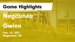 Negaunee  vs Gwinn  Game Highlights - Feb. 16, 2021