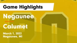 Negaunee  vs Calumet  Game Highlights - March 1, 2022