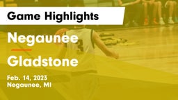 Negaunee  vs Gladstone  Game Highlights - Feb. 14, 2023