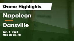 Napoleon  vs Dansville  Game Highlights - Jan. 5, 2024
