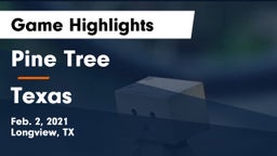 Pine Tree  vs Texas  Game Highlights - Feb. 2, 2021